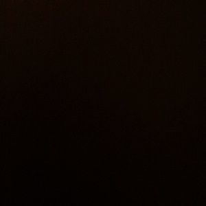 Meet your Posher, Bee